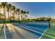 Outdoor tennis court surrounded by mature palm trees offering shaded play in a well-maintained community at 17743 W Verdin Rd, Goodyear, AZ 85338