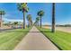 Inviting community features walking path lined with palm trees at 17743 W Verdin Rd, Goodyear, AZ 85338