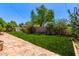 Lush backyard featuring a well-manicured lawn, mature trees, and vibrant flowering bushes at 5031 W Ivanhoe St, Chandler, AZ 85226