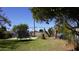 Lush backyard showcasing a trampoline and concrete patio area at 6212 S 12Th St, Phoenix, AZ 85042