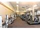 Well-equipped gym with treadmills, weight machines, and other exercise equipment at 7361 E Rugged Ironwood Rd, Gold Canyon, AZ 85118