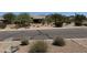 Street view showcasing serene neighborhood with mature trees and desert landscaping at 7361 E Rugged Ironwood Rd, Gold Canyon, AZ 85118