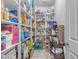 Walk-in pantry features full white shelving and an interior door to the kitchen at 857 S Osborn Ln, Gilbert, AZ 85296