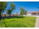 Expansive green community space with mature trees, benches, and pedestrian walkway at 1951 N 64Th St # 26, Mesa, AZ 85205