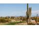 Scenic view of the golf course with players, cacti, and distant mountains at 202 W Twin Peaks Pkwy, San Tan Valley, AZ 85143