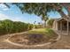 Spacious backyard with mature trees, a well-maintained lawn, and a circular brick border at 2110 E Laguna Dr, Tempe, AZ 85282