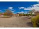 Large, gravel-covered backyard with mature trees offering ample space at 2149 S Olivewood --, Mesa, AZ 85209