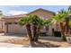 View of a tan home showcasing the desert landscaping featuring three beautiful palm trees in the front yard at 9857 E Fairview Ave, Mesa, AZ 85208