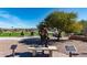 Public art sculpture in a park-like setting with green grass, benches, and a view of the lake at 12050 N Panorama Dr # 104, Fountain Hills, AZ 85268