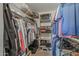 Walk-in closet with shelving and hanging storage at 12822 W Ballad Dr, Sun City West, AZ 85375