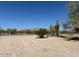 Desert landscape showcasing natural vegetation including cacti, offering privacy and a low-maintenance environment at 15001 W Camdon Dr, Casa Grande, AZ 85194