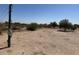 Unimproved lot with desert vegetation and utility pole at 15001 W Camdon Dr, Casa Grande, AZ 85194