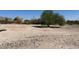 Expansive open lot with desert vegetation and arid climate at 15001 W Camdon Dr, Casa Grande, AZ 85194