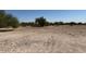 Expansive, unimproved land featuring desert scrub and arid climate at 15001 W Camdon Dr, Casa Grande, AZ 85194