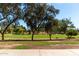 The landscaped community green area includes mature shade trees, grass, and walking paths at 333 N Pennington Dr # 63, Chandler, AZ 85224