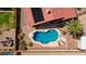 Aerial view of the pool and backyard, including the patio, lush landscaping, and pool with diving board at 7726 W Cameron Dr, Peoria, AZ 85345