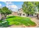 Large grassy backyard with mature trees, a covered patio, and privacy fencing at 913 W Juanita Ave, Gilbert, AZ 85233