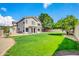 Expansive backyard featuring lush green grass and mature trees, perfect for outdoor activities at 913 W Juanita Ave, Gilbert, AZ 85233