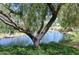 Serene pond view framed by a large, leafy tree and natural landscaping creates a peaceful environment at 13068 W Mine Trl, Peoria, AZ 85383
