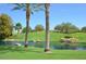 Lush green golf course view with a pond framed by mature palm trees and manicured landscaping at 13068 W Mine Trl, Peoria, AZ 85383