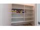 Walk-in pantry with plenty of storage space on multiple shelves at 29120 N 22Nd Ave # 205, Phoenix, AZ 85085