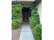 Charming front entrance featuring a pathway and beautiful greenery framing the door at 549 W Sweet Shrub Ave, Queen Creek, AZ 85140