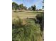 Scenic golf course view with lush green grass, mature trees, and clear blue skies at 6751 S Callaway Dr, Chandler, AZ 85249