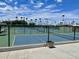 Tennis courts at Carriage Manor Resort, surrounded by palm trees on a sunny day at 7750 E Broadway Rd # 433, Mesa, AZ 85208