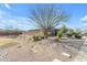 A well-manicured front yard with desert landscaping and mature tree in a suburban neighborhood at 797 W Danish Red Trl, San Tan Valley, AZ 85143