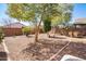 Spacious backyard featuring desert landscaping and mature shade trees for privacy and relaxed outdoor living at 85 W Grey Stone St, San Tan Valley, AZ 85143