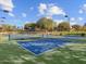 Multiple community pickleball courts with vibrant blue surfaces, promising a great recreational experience for residents at 8559 W Trenton Ct, Florence, AZ 85132