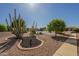 Attractive front yard featuring desert landscaping with cacti and mature trees, enhancing curb appeal at 9130 W Rimrock Dr, Peoria, AZ 85382