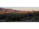 Property view with desert landscaping, mountain view, trees, and cacti at 9736 E Sleepy Hollow Trl, Gold Canyon, AZ 85118