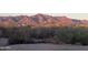 Expansive property view of desert landscaping, mountains, trees, and cacti at 9736 E Sleepy Hollow Trl, Gold Canyon, AZ 85118