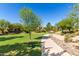 Serene community with landscaped walking paths, lush greenery, and beautiful homes at 10037 W Watkins St, Tolleson, AZ 85353