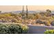 Desert landscape showcasing the Arizona scenery with cacti and mountains in the background at 10067 E Santa Catalina Dr, Scottsdale, AZ 85255