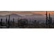 Scenic distant view showcases saguaros against a dramatic mountain range at 10067 E Santa Catalina Dr, Scottsdale, AZ 85255