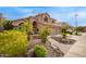 Landscaped front yard showcasing desert plants, shrubs, rocks, and a brick walkway at 1333 E Rockledge Rd, Phoenix, AZ 85048