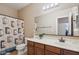 A well-lit bathroom featuring a neutral color palette, a single sink vanity and a decorative shower curtain at 18430 E Azul Ct, Gold Canyon, AZ 85118