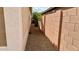 Narrow gravel side yard with block wall and a small tree, offering a low-maintenance outdoor space at 18430 E Azul Ct, Gold Canyon, AZ 85118