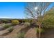 Backyard featuring desert landscaping with colorful shrubbery and a mature shade tree at 20701 W Minnezona Ave, Buckeye, AZ 85396