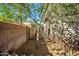 Enclosed backyard featuring dirt landscaping, secure gating and tree for a shaded outdoor space at 3299 E Boston St, Gilbert, AZ 85295