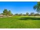 Large grassy green space surrounded by mature trees and manicured landscaping in a community park at 3299 E Boston St, Gilbert, AZ 85295