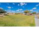 Well-maintained green common area offering a gathering gazebo and ample space for outdoor recreation on a sunny day at 34969 N Open Range Dr, San Tan Valley, AZ 85144