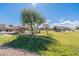 Community playground featuring a covered play structure, gazebo, and mature shade trees on a sunny day at 34969 N Open Range Dr, San Tan Valley, AZ 85144