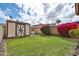 Well-maintained backyard with green lawn, shed, and vibrant bougainvillea shrubs at 5125 W Las Palmaritas Dr, Glendale, AZ 85302