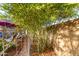 Backyard featuring natural bamboo, lush plants, a shaded seating area, and beautiful rock ground covering at 6338 E Camelot Dr, Mesa, AZ 85215