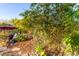 Backyard featuring natural bamboo, lush plants, and a comfortable patio seating area with shade umbrella at 6338 E Camelot Dr, Mesa, AZ 85215