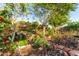 Scenic backyard garden with lush landscaping, stone pathways, and a relaxing seating area at 6338 E Camelot Dr, Mesa, AZ 85215