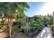 Landscaped backyard featuring raised garden beds with trellises adding a natural aesthetic to the outdoor space at 6338 E Camelot Dr, Mesa, AZ 85215